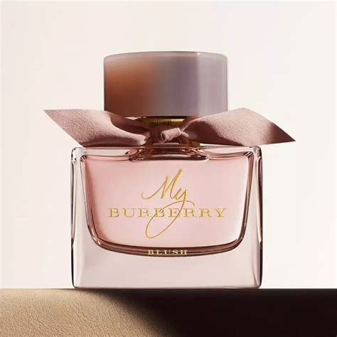 best rated burberry perfume|expensive Burberry perfumes.